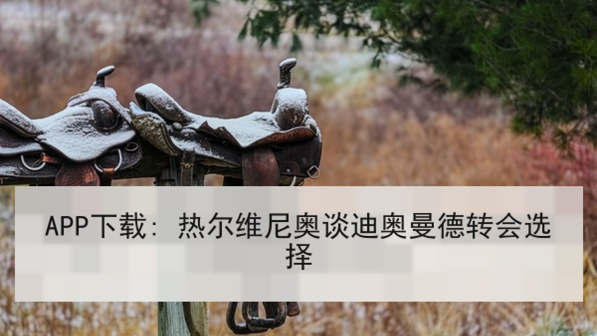 APP下载: 热尔维尼奥谈迪奥曼德转会选择